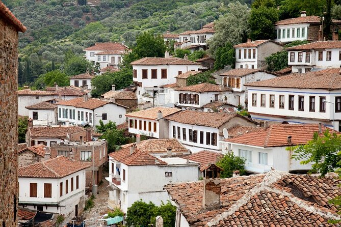 Private Ephesus and Sirince Village Tour for Cruise Passengers - Accessibility and Requirements