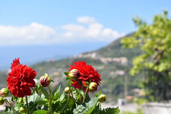 Private Etna Tour With Lunch in Traditional Trattoria With Organic Food - Accessibility and Participation