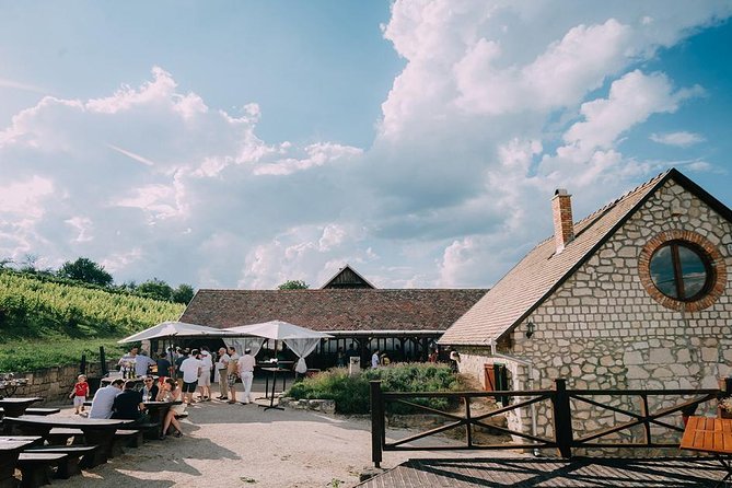 Private Etyek Wine Tour With Dinner Including a Budapest Danube Evening Cruise - Traditional Hungarian Dinner Delight