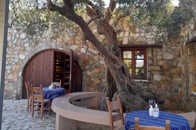 Private Exclusive Manousakis Winery and Vineyard Tour in Chania - Health and Safety Considerations