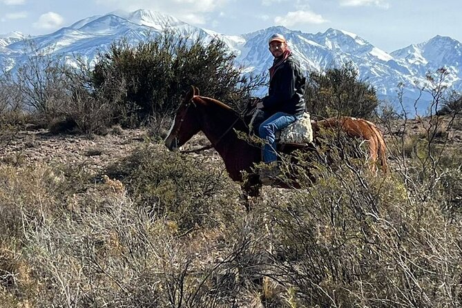Private Experience Adventure Horseback Ride With Asado in Mendoza - Logistics and Meeting Details