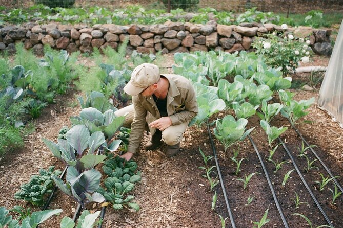 Private Farm Workshop in Napa Valley - Guest Reviews and Feedback