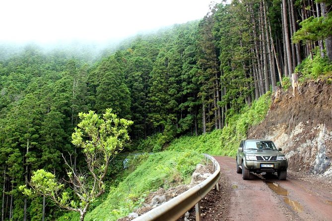 Private Full-Day 4x4 Tour to Nordeste & Povoaçao - Pricing and Payment Options