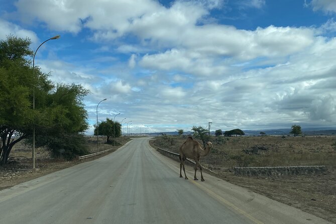 Private Full-Day East Oman Tour From Salalah With Lunch - Inclusions and Amenities