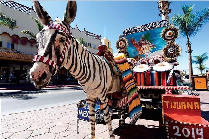 Private Full-Day Guided Tour of Tijuana - Notable Attractions and Activities