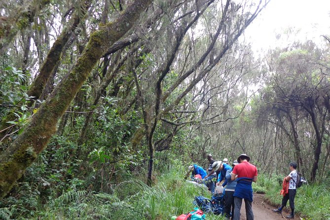 Private Full-Day Hiking Tour in Mount Kilimanjaro - Preparing for the Hike