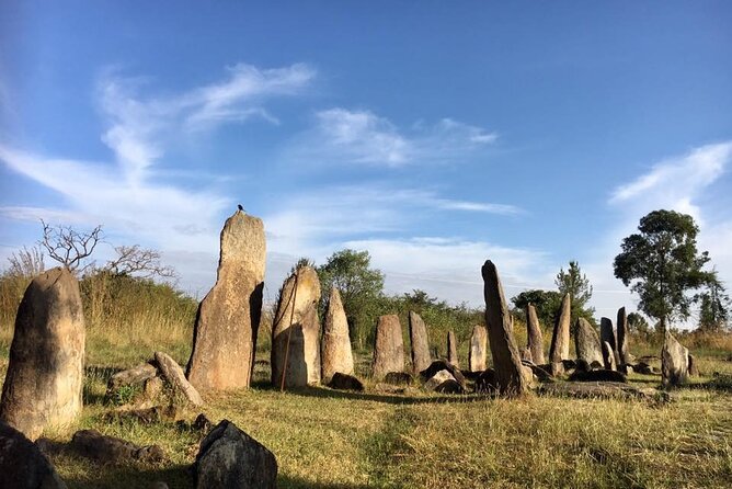 Private Full-Day Stone Age and Medieval Tour From Addis Ababa - Lunch and Dining