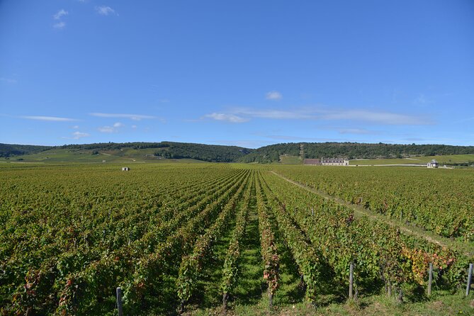 Private Full Day Tour Burgundy Gourmet - Pickup Locations and Timing