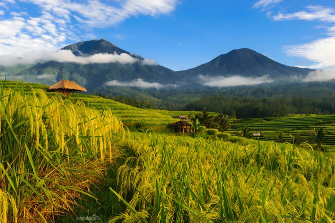 Private Full-Day Tour: Discover The Best of Bali Destination - Inclusions and Services