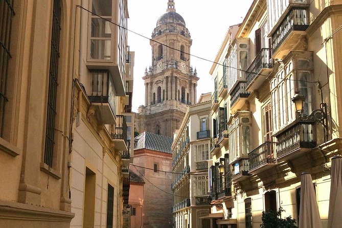 Private Full Day Tour in Malaga From Costa Del Sol - Meeting and Pickup Process