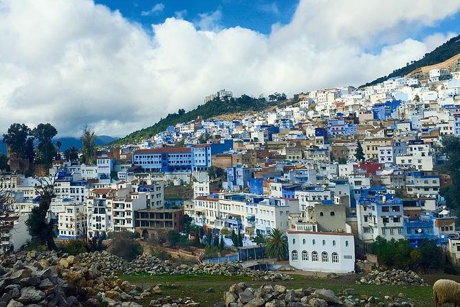Private Full Day Tour of Chefchaouen From Malaga - Highlights of the Tour