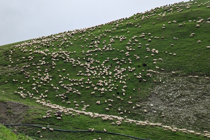 Private Full-Day Tour to Kazbegi and Gudauri From Tbilisi - Breathtaking Views of Kazbegi