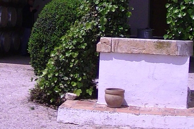 Private Full-Day Tour to Winery- Requena (Booking 2 Weeks Before) - Accessibility and Suitability