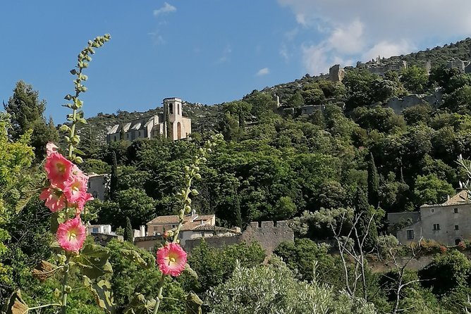 Private Full Day Tour Villages of the Luberon From Avignon - Accessibility and Mobility