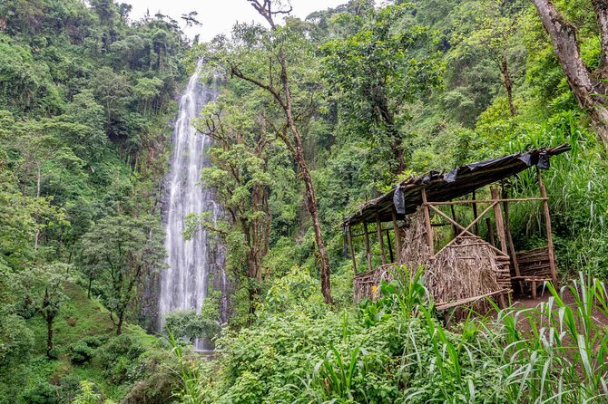 Private Full-Day Trip to Materuni Waterfalls - What to Expect at Materuni Waterfalls