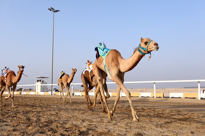 Private Full Day West of Qatar and Education City Tour - Booking Process