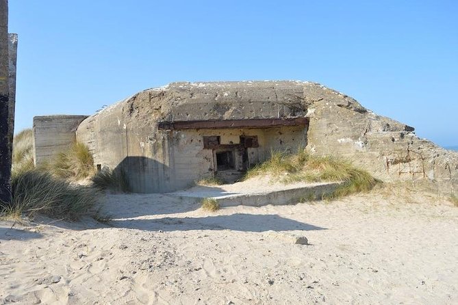 Private Guided American D-Day Tour From Cherbourg Cruise Port - Inclusions and Accessibility