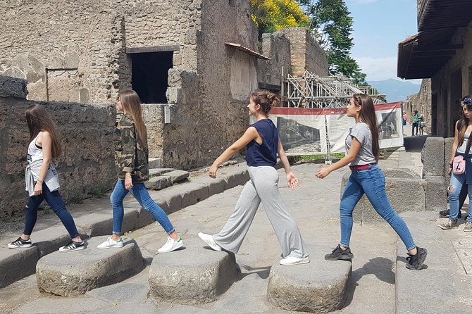 Private Guided Tour of the Pompeii Excavations - Local Regulations