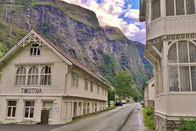 PRIVATE GUIDED TOUR: the Heart of Norway – Viking Special, 8-9 Hours – SUMMER - Accessibility Features