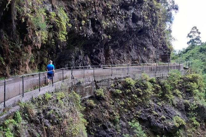 Private Guided Walk Levada Faja Dos Rodrigues Half-Day - Pickup Locations