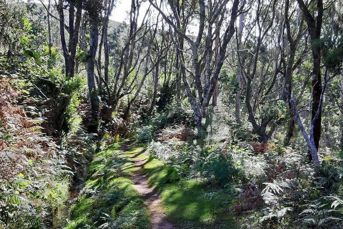 Private Guided Walk Porto Moniz Levada Do Moinho - Confirmation and Availability
