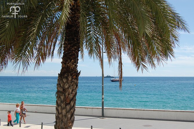 Private Half Day Arrabida Tour With Wine Tasting in Sesimbra - Highlights of the Tour