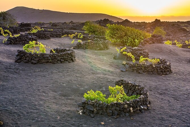 Private Half Day Excursion to Lanzarote With Pick-Up and Drop-Off - Pricing and Payment Options