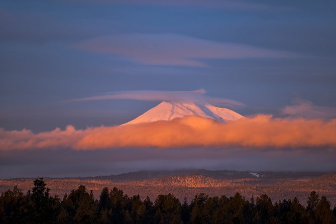 Private Half-Day Photo Tours - Customer Reviews and Ratings