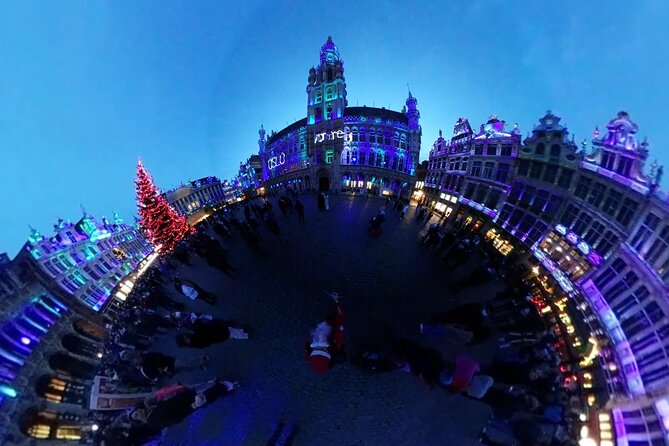 Private Half Day Tour of Brussels - Accessibility