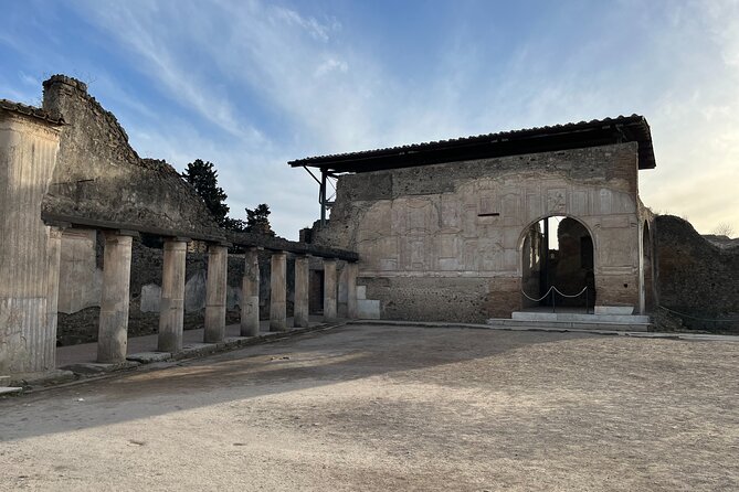 Private Half Day Tour to the Ruins of Pompeii - Accessibility Information