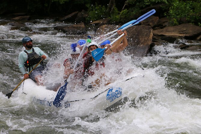 Private High Adventure Trip on the Ocoee River With Snack - What to Expect on the River