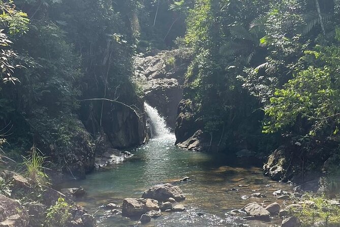 Private Hike in the Rainforest to Waterslides - Health and Safety Considerations