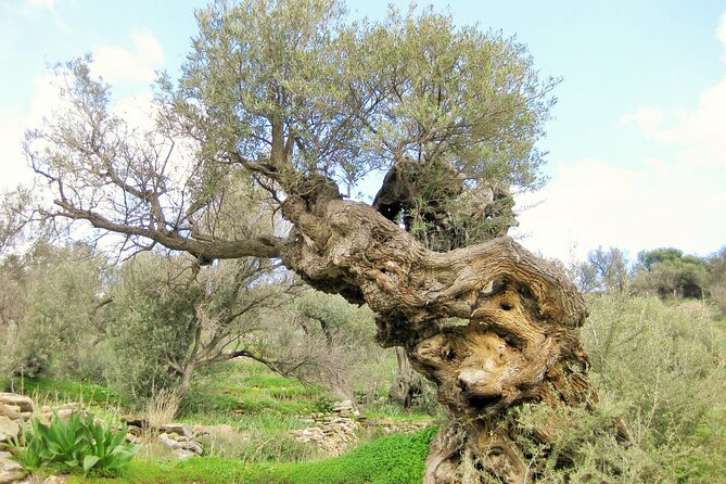 Private Hiking Tour of Lefkes Byzantine Path Ancient Greek Route - Inclusions