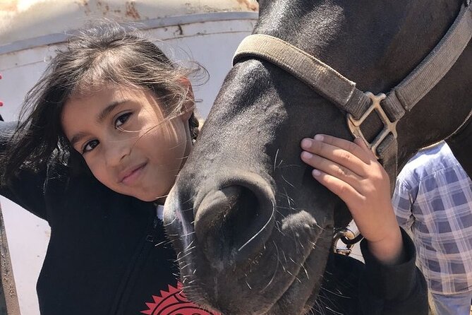 Private Horseback Beach and La Bufadora Shore Excursion - Participant Feedback