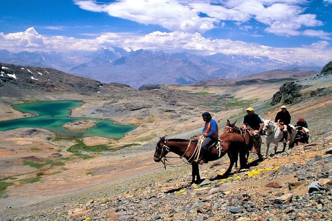 Private Horseback Riding and Wines From Santiago - Exploring the Wineries