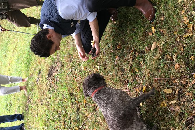 Private Hunting Of Truffle And Mushrooms With Chef Luigi Gandola In Bellagio - Hiking Through the Picturesque Lake Como Shores