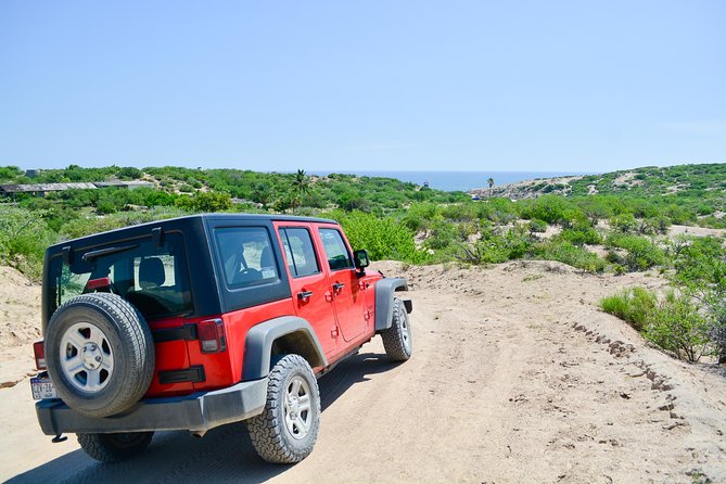 Private Jeep Tour Cabo Pulmo - Participant Requirements and Recommendations