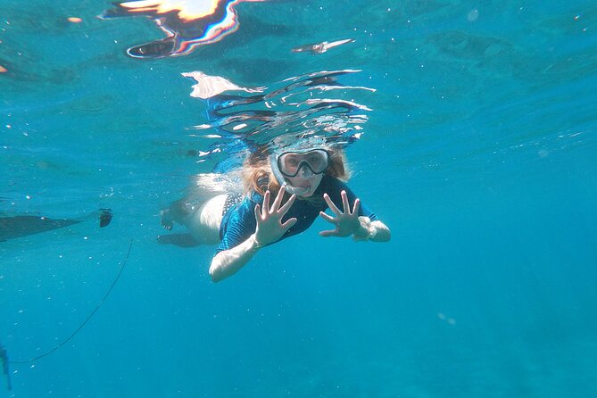 Private Kayak Tour in Câmara De Lobos - Scenic Highlights