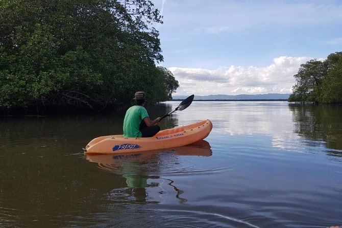 Private Kayaking in Los Haitises With a Tour Guide From Caño Hondo - Inclusions of the Tour