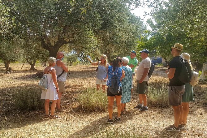 Private Kefalonian Olive Oil, Honey Tasting and Wine Tour - Tour Pricing and Discounts