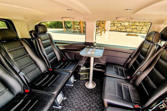 Private Limousine Around Helsinki - Accessibility Options