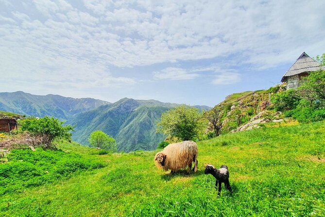 Private Lukomir Village 4x4 Off-Road Safari Tour From Sarajevo - Revitalization at Boraco Lake