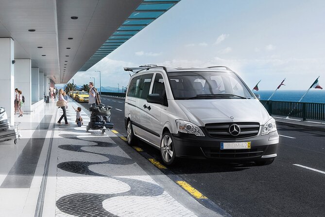 Private Luxor Airport Transfer - Accessibility Options