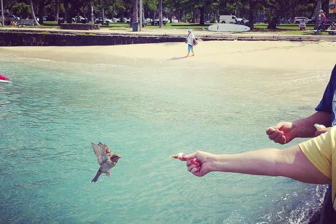 Private Luxury 5hr Dole,Northshore,Waikiki Group Priced Tour - Pricing Details