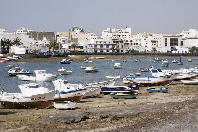 Private Luxury Full Day Tour of South of Lanzarote: Hotel or Cruise Port Pick-Up - Pricing and Booking