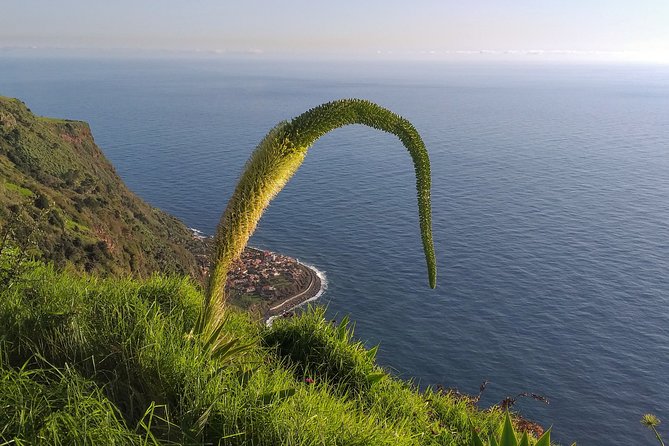 Private Madeira Tour up to 4 People - Tour Inclusions