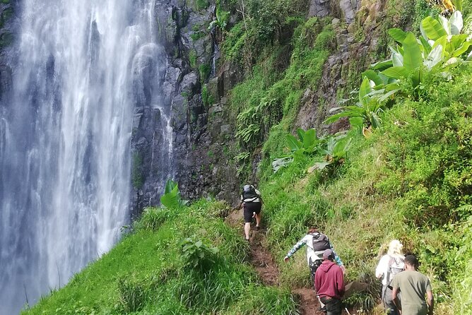 Private Materuni Waterfalls Hiking and Coffee Tour - Fitness Requirements