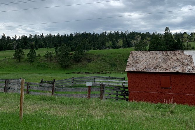 Private Mickelson Trail Bicycling Tour - Scenic Views and Highlights
