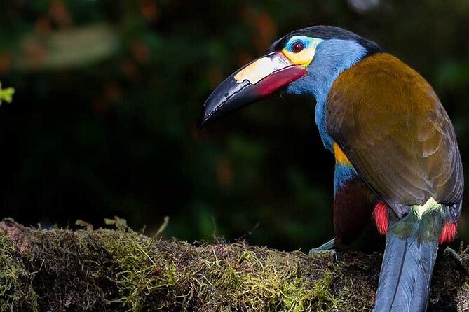 PRIVATE Mindo Cloud Forest Tour - Pickup Information
