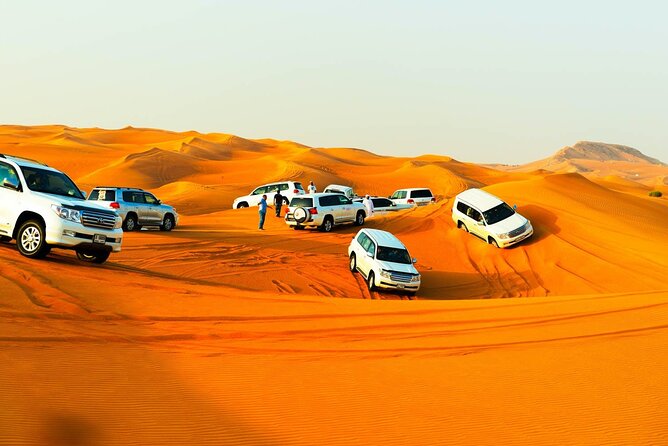 Private Morning Dessert Safari Tour With Sand Boarding and Dune Bashing - Refreshments and Additional Activities